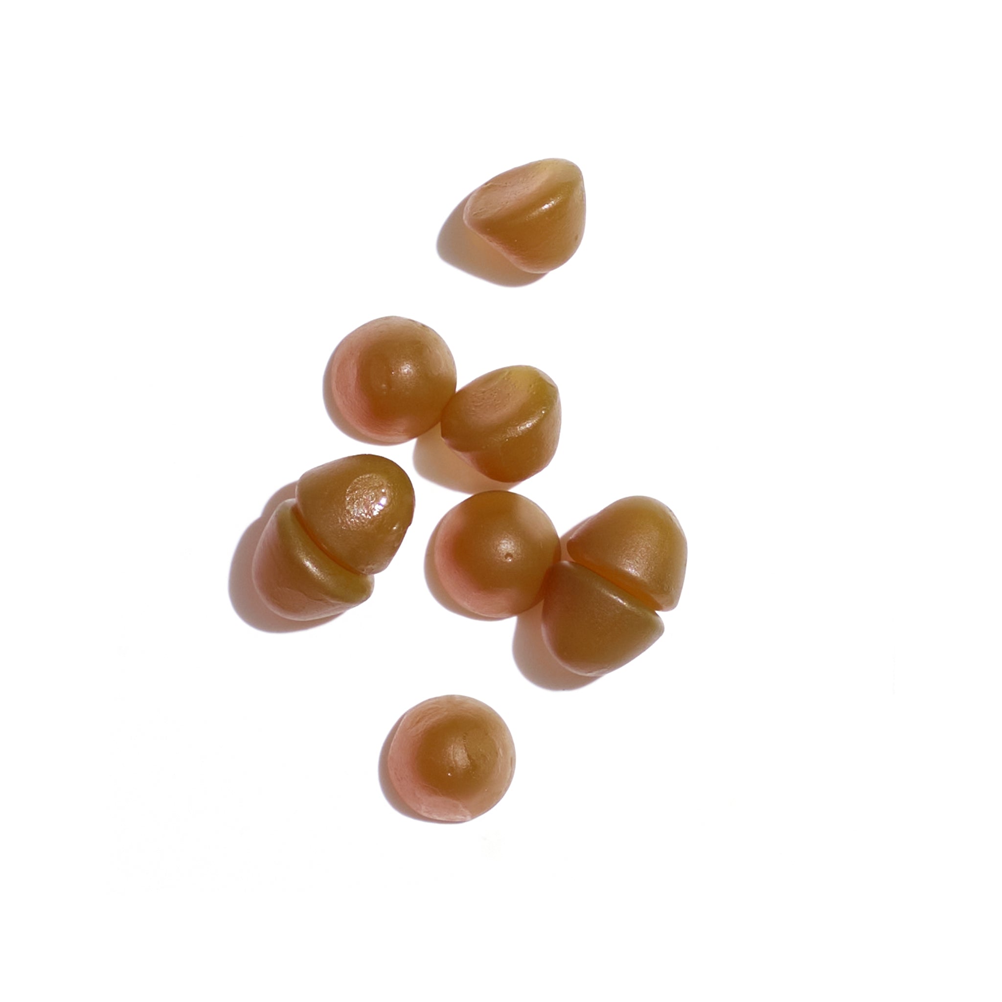 MAMA GUMMIES FEMME ENCEINTE
