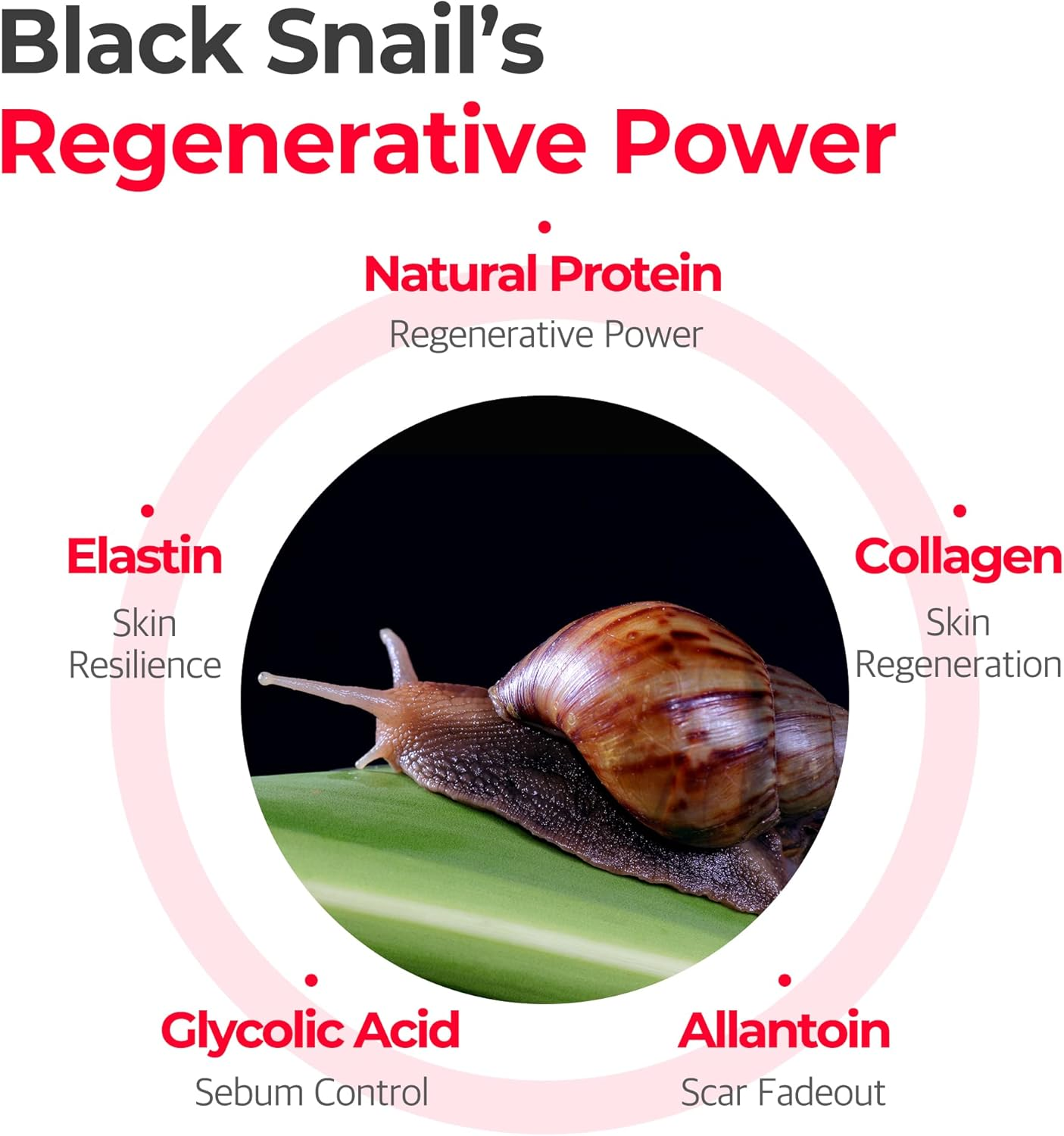Snail Truecica Miracle Repair Cream