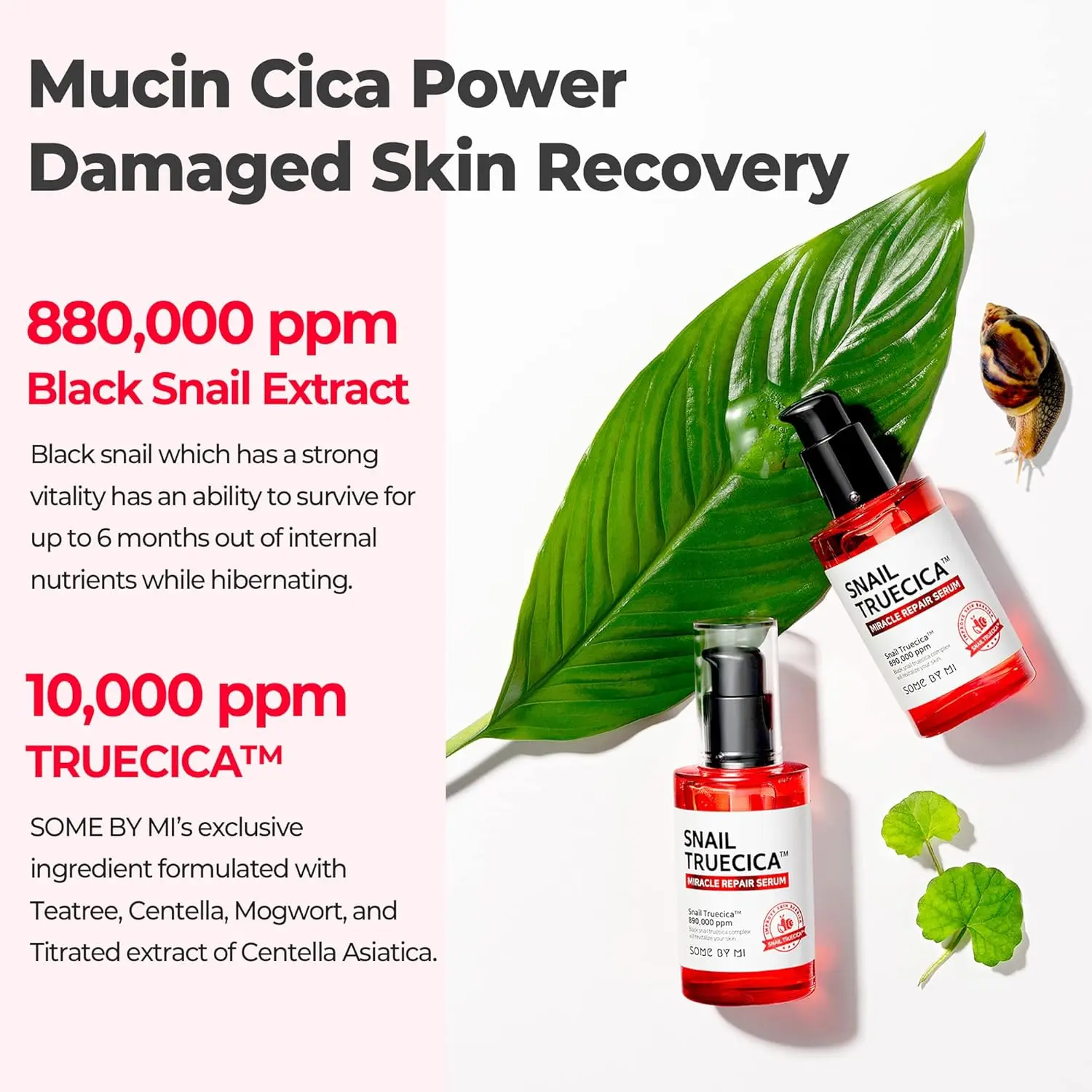 Snail Truecica Miracle Repair Serum