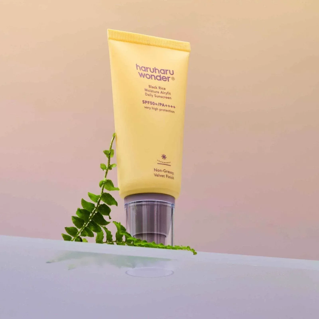 Black Rice Moisture Airyfit Daily Sunscreen SPF50+ PA++++