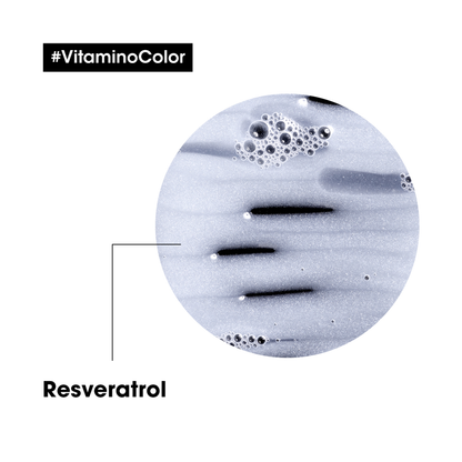 Serie Expert Vitamino Color Shampoing Fixateur de Couleur