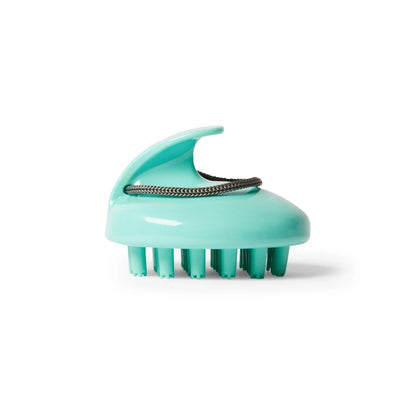 Masseur de Cuir Chevelu