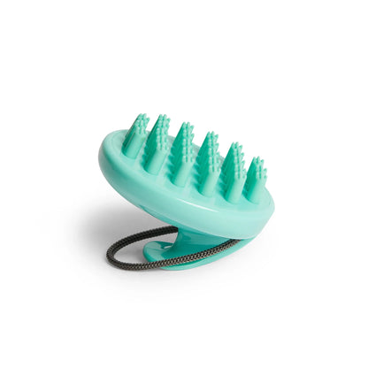 Masseur de Cuir Chevelu
